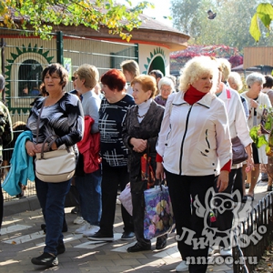 Рекордное число пенсионеров посетило зоопарк «Лимпопо» в рамках акции «Мои года – мое богатство»