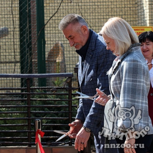 Новый вольерный комплекс для пум и леопардов открылся в зоопарке «Лимпопо»!