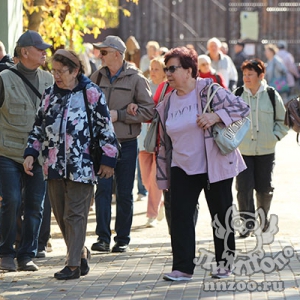 И снова рекордное число: 4215 пенсионеров посетили зоопарк «Лимпопо» бесплатно!