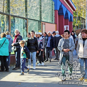 И снова рекордное число: 4215 пенсионеров посетили зоопарк «Лимпопо» бесплатно!