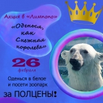 Акция «Оденься, как Снежная королева» пройдет в зоопарке «Лимпопо» 26 февраля