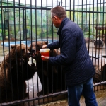 Кормление медведей мёдом 4.10.12